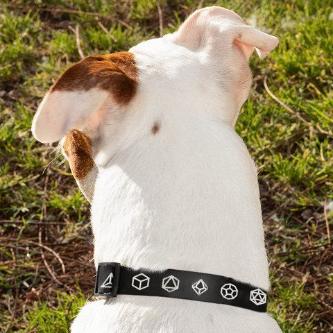 Dice Set Dog Collar