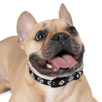 Dice Set Dog Collar