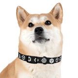 Dice Set Dog Collar